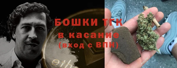 сатива Алзамай