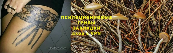 сатива Алзамай
