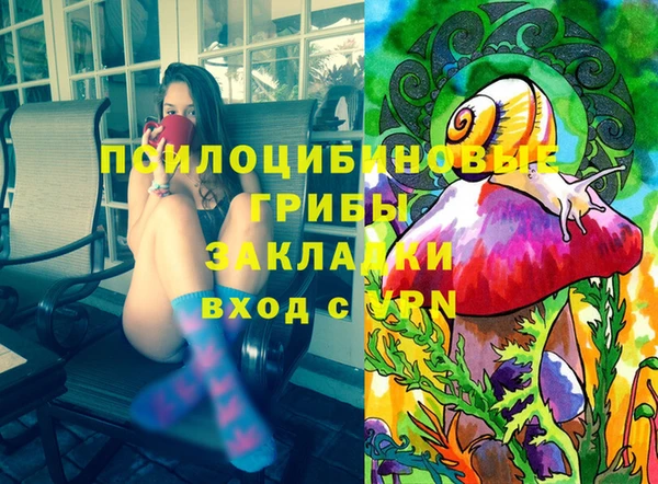 амф Аркадак
