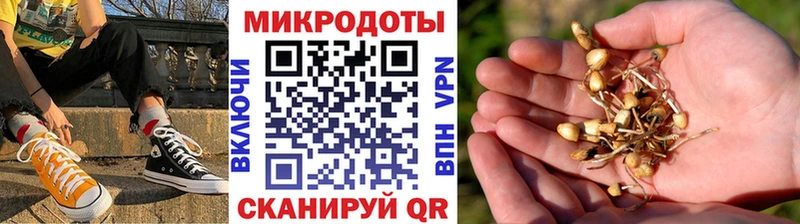 Псилоцибиновые грибы MAGIC MUSHROOMS  Котельниково 